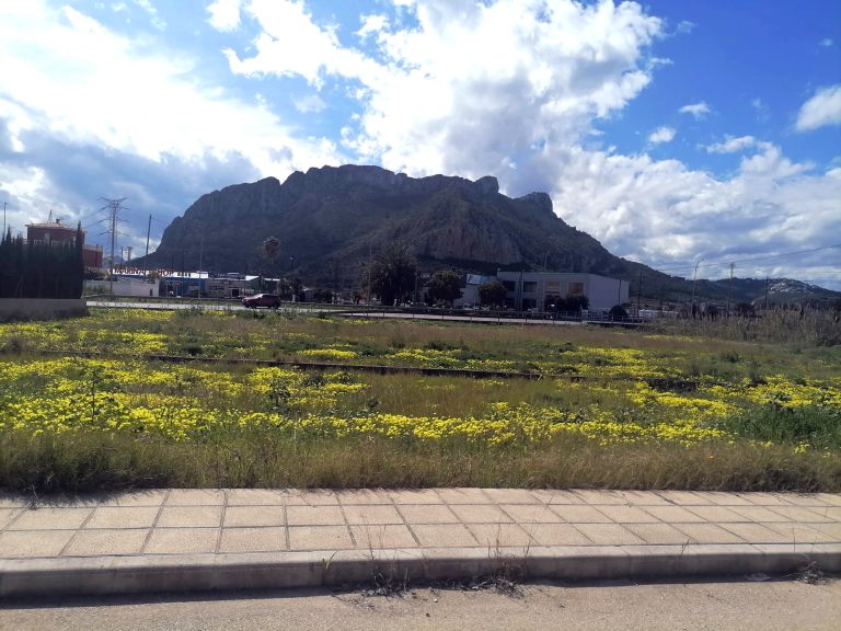 El Verger
