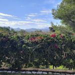 Villa met zeezicht in Denia