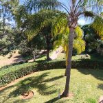 Appartement met golfzicht in La Sella