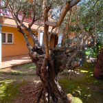 Appartement met golfzicht in La Sella