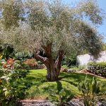 Villa met panoramisch zicht in La Sella