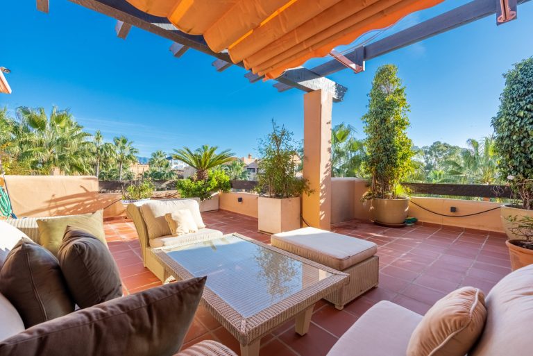 Kalanchoe Penthouse